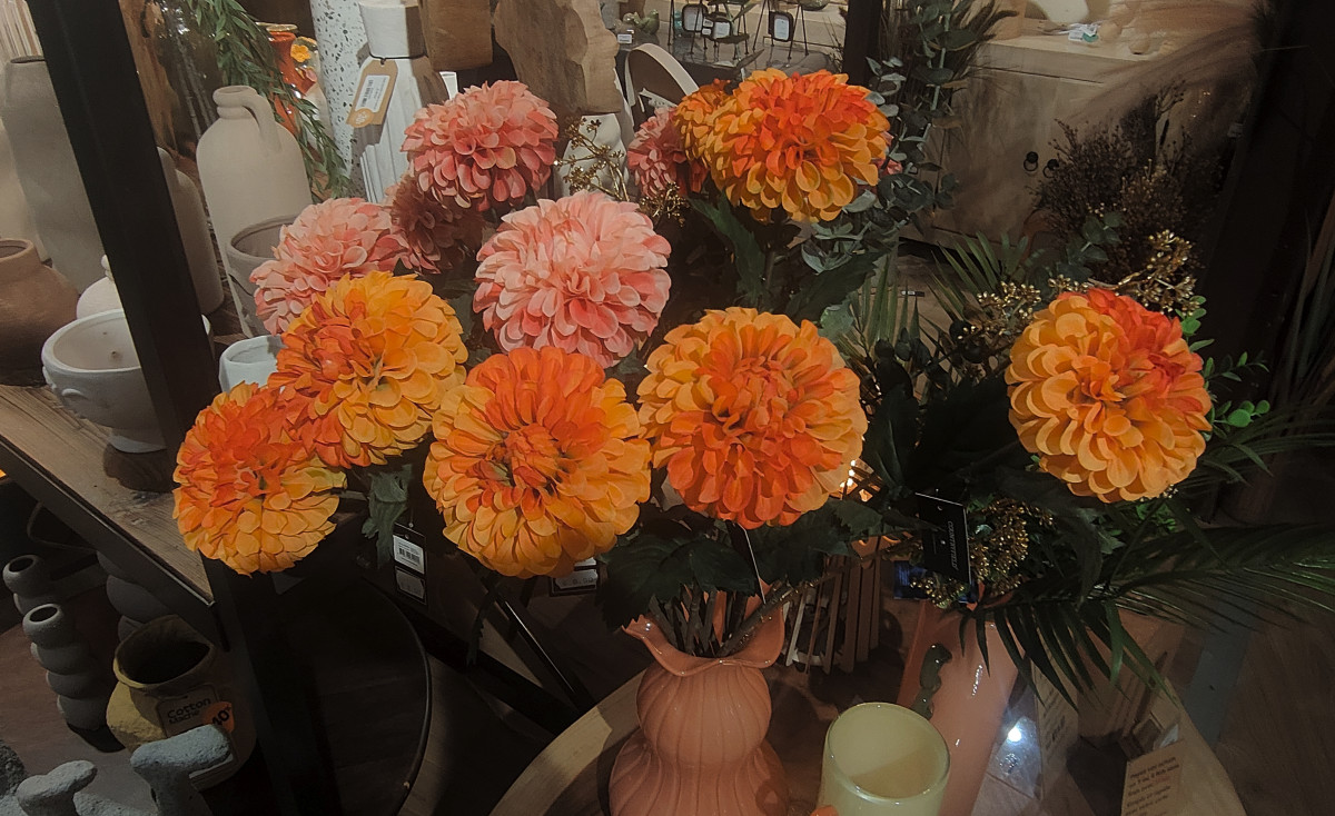 img-20260612-110006